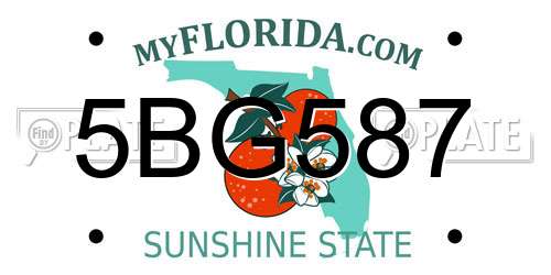 5BG587 Florida License Plate