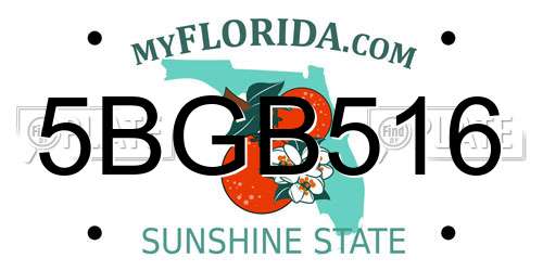 5BGB516 Florida License Plate