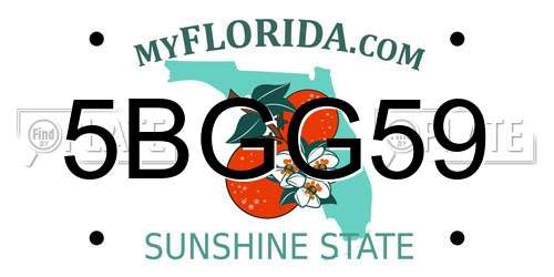 5BGG59 Florida License Plate