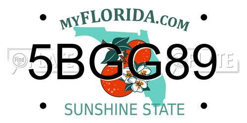 5BGG89 Florida License Plate