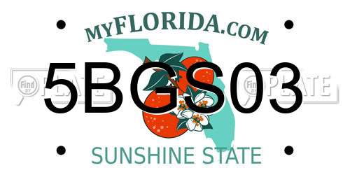 5BGS03 Florida License Plate