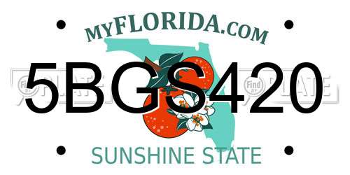 5BGS420 Florida License Plate