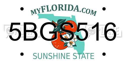 5BGS516 Florida License Plate