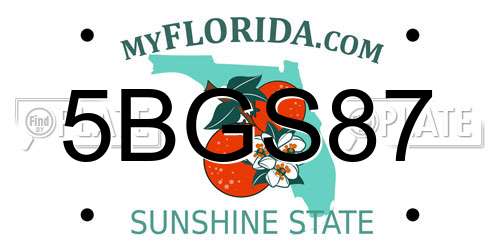 5BGS87 Florida License Plate