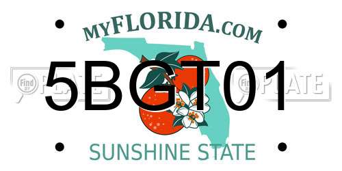 5BGT01 Florida License Plate