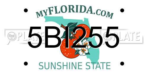 5BI255 Florida License Plate