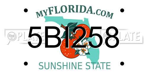 5BI258 Florida License Plate