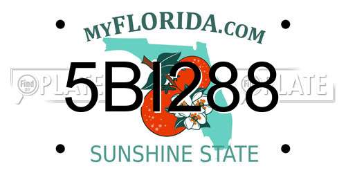 5BI288 Florida License Plate