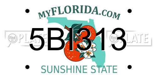 5BI313 Florida License Plate