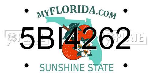 5BI4262 Florida License Plate