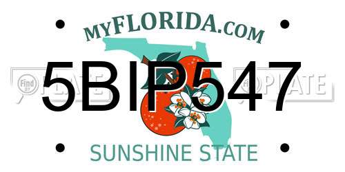 5BIP547 Florida License Plate
