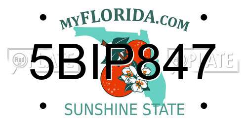 5BIP847 Florida License Plate