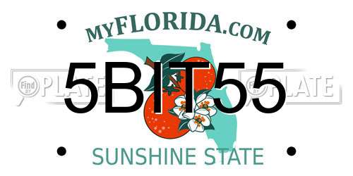 5BIT55 Florida License Plate