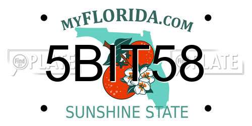5BIT58 Florida License Plate