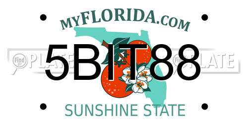 5BIT88 Florida License Plate