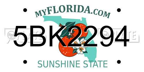 5BK2294 Florida License Plate