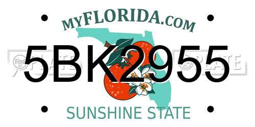 5BK2955 Florida License Plate