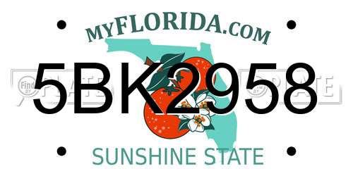 5BK2958 Florida License Plate