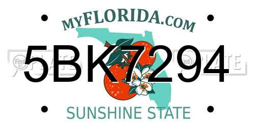 5BK7294 Florida License Plate
