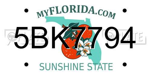 5BK7794 Florida License Plate
