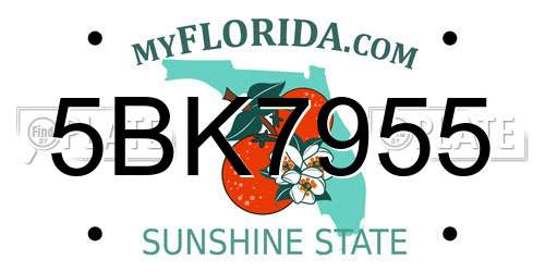 5BK7955 Florida License Plate