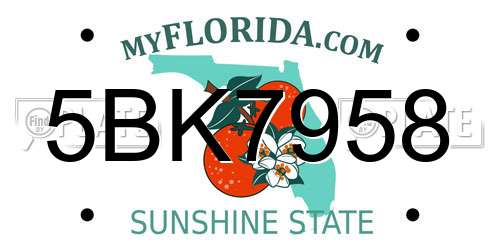 5BK7958 Florida License Plate