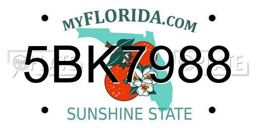 5BK7988 Florida License Plate