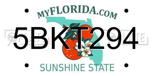 5BKT294 Florida License Plate