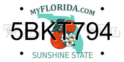 5BKT794 Florida License Plate