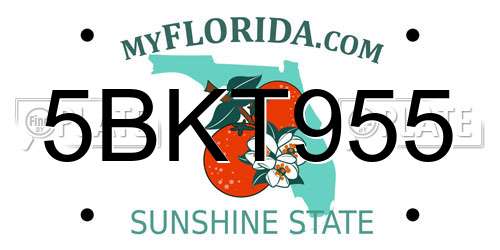 5BKT955 Florida License Plate