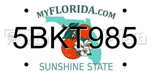5BKT985 Florida License Plate