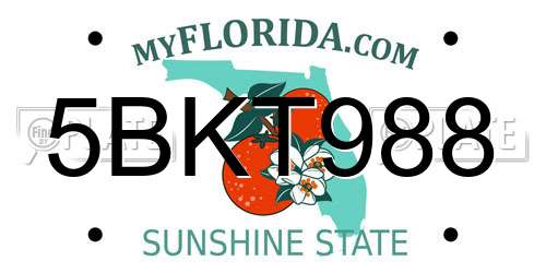 5BKT988 Florida License Plate