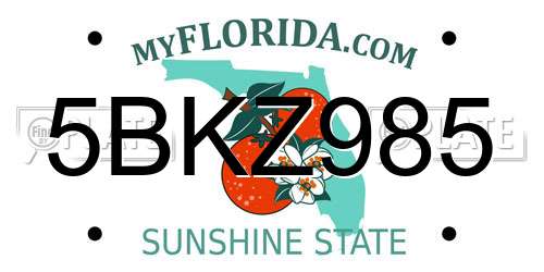 5BKZ985 Florida License Plate
