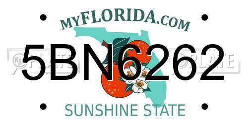 5BN6262 Florida License Plate