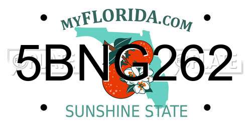 5BNG262 Florida License Plate