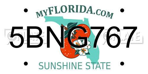 5BNG767 Florida License Plate