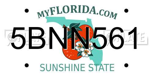 5BNN561 Florida License Plate