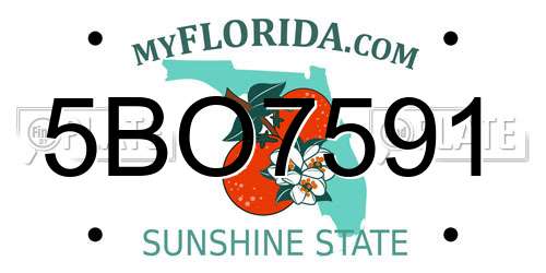 5BO7591 Florida License Plate