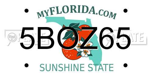 5BOZ65 Florida License Plate