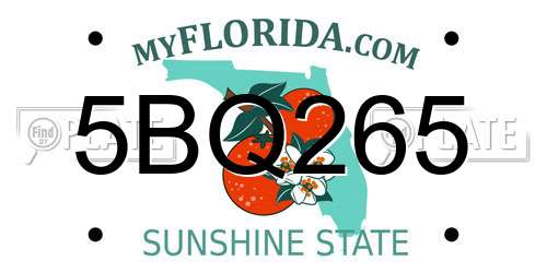 5BQ265 Florida License Plate