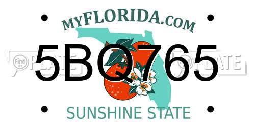 5BQ765 Florida License Plate