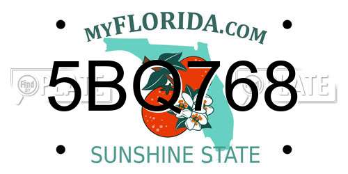 5BQ768 Florida License Plate