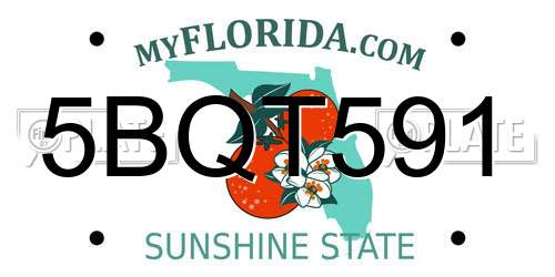 5BQT591 Florida License Plate