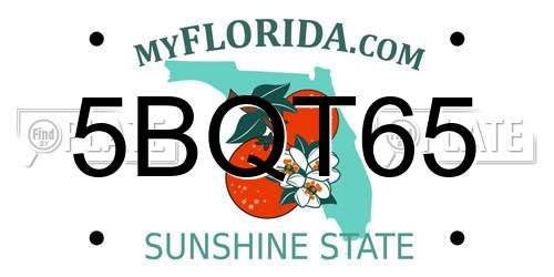 5BQT65 Florida License Plate