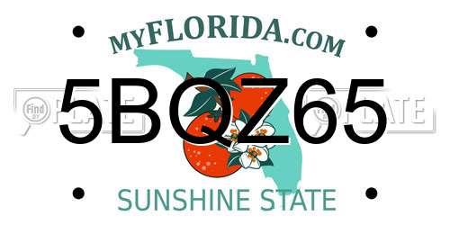 5BQZ65 Florida License Plate