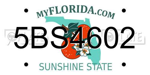 5BS4602 Florida License Plate