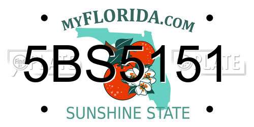 5BS5151 Florida License Plate