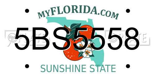 5BS5558 Florida License Plate