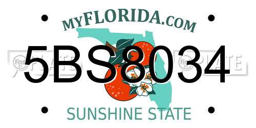 5BS8034 Florida License Plate