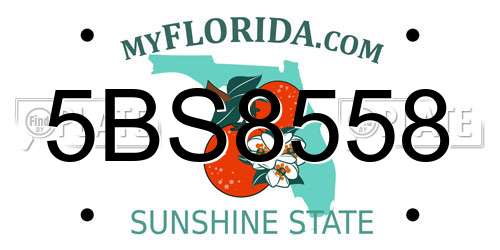 5BS8558 Florida License Plate